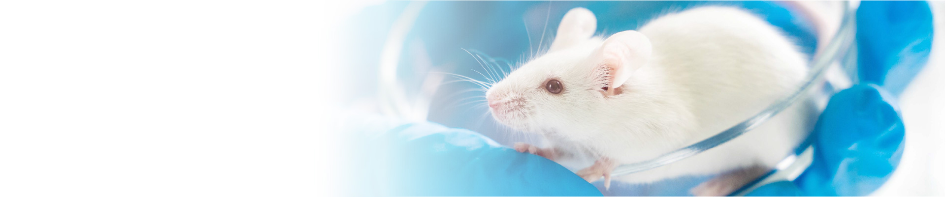 Light Temperature Humidity Monitoring Animal Labs