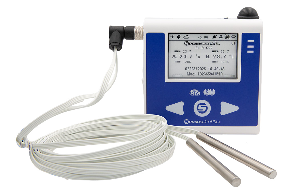 rtd double probe temperature