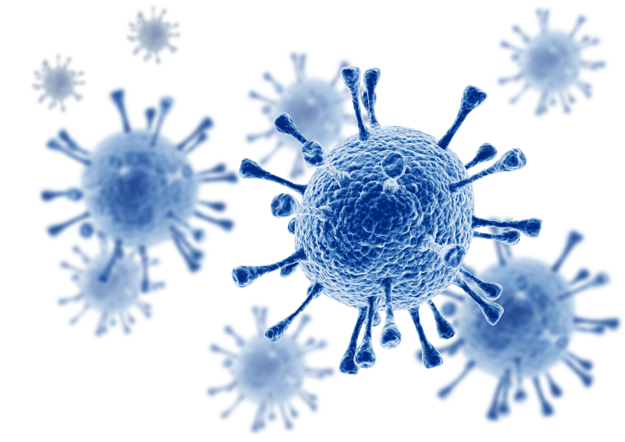 coronavirus