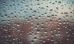 temperature and humidity effects on window